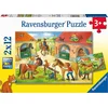 Image de Ravensburger Puzzle enfant Vakantie op de manege - 2 x 12 pièces - Animaux