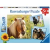 Image de Ravensburger Pony's ombragés, 3x49pcs.