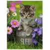 Image de Puzzle Ravensburger - Chatons parmi les fleurs, 100 pièces XXL