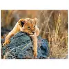 Image de Puzzle XXL 200 pièces - Petit Lionceau pour enfants à partir de 8 ans - Neuf