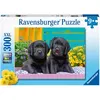 Image de Ravensburger Zwarte Labradors, 300e.