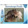 Image de Beaux chevaux Ravensburger 12986