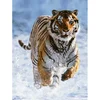Image de RAVENSBURGER Puzzle Tigre dans la neige 500 pièces