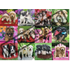Image de RAVENSBURGER Casse-tête Amis des chiens 500 pièces