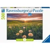 Image de Puzzle RAV 500 Lacka 16990