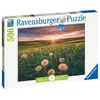 Image de Puzzle de 500 pièces - Pissenlits au crépuscule pour un moment de détente - Neuf