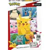 Image de POKEMON - Puzzle 250 pièces - Types de Pokémon - Nathan