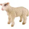 Image de BULLY agneau, mâle (62478)