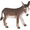 Image de Osel