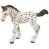 Image de Poulain Knabstrupper, figurine de jeu
