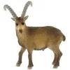 Image de Capricorne