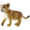 Image de Lionne
