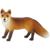 Image de Renard