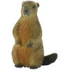 Image de Marmotte