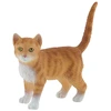 Image de American Shorthair Francis, Spielfigur