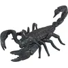 Image de Scorpion