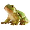 Image de Rainette, figurine de jeu