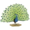 Image de Paon