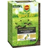 Image de COMPO 13882 COMPO SAAT Semis de gazon, 500 g pour 25 m²