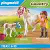 Image de Cheval avec poulain