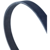Image de Courroie Trapézoïdale À Nervures Continental 7pk1834 Nissan 1172000q1g 4434612