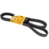 Image de Courroie Poly-v Striée Automobile Contitech 6pk2535
