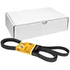 Image de Courroie Multi-nervurées Contitech 6 Pk 2615