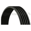 Image de Courroie Trapézoïdale À Nervures Continental 5pk1393 Hyundai 51717038010