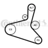 Image de Jeu De Courroies Trapézoïdales À Nervures Continental 6dpk1195k1 Audi
