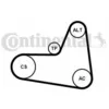 Image de Jeu De Courroies Trapézoïdales À Nervures Continental 6pk1045k2 Audi