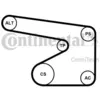 Image de Jeu De Courroies Trapézoïdales À Nervures Continental 5pk1355k1 Opel