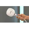 Image de Hansgrohe Douchette à main Raindance Select E 120 blanc / chrome
