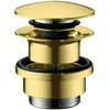 Image de Hansgrohe - Bonde Push-open Aspect Doré Poli