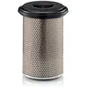 Image de Filtre À Air Mann Filter C23440/4