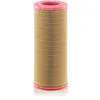 Image de Filtre À Air Mann Filter C24906/2