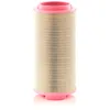 Image de Filtre À Air Mann Filter C25024