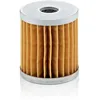 Image de Filtre À Air Mann Filter C66
