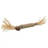 Image de Trixie Stick En Matatabi Avec Franges - 24 Cm 42435