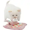 Image de Trixie - Junior Doudou À La Valériane 13 × 13 Cm X 3 Cm Jouet Pour Chat