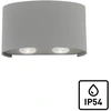 Image de Applique d'extérieur LED CARLO argentée 3 W, blanc chaud, 410 lm, aluminium, dim. : 8 x 13 x 3,7 cm, IP54, Paul Neuhaus