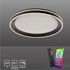 Image de Paul Neuhaus 8416-13 Paul Neuhaus Q-VITO Smart Home Deckenleuchte anthrazit 39 W