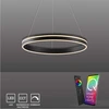 Image de Paul Neuhaus 8411-13 Paul Neuhaus Q-VITO Smart Home Deckenleuchte anthrazit 28 W