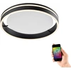Image de Paul Neuhaus 8414-13 Paul Neuhaus Q-VITO Smart Home Deckenleuchte anthrazit 28 W