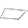 Image de Paul Neuhaus LED Plafonnier PURE LINES CCT changement de couleur de lumière dimmable par télécommande, slim aluminium Salon, chambre, salle à manger, couloir, cuisine, bureau 6021-13, 6021-95, 6023-13, 6023-95, 6022-13, 6022-95