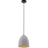 Image de PAUL NEUHAUS Suspension 2231-22 Béton, pour 1 x E27
