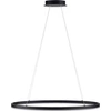 Image de PAUL NEUHAUS Suspension LED 2392-13 anthracite, 38 W, 5150 lm, 3000 K