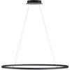 Image de PAUL NEUHAUS Luminaire suspendu à LED 2393-13 anthracite, 57,5 W, 7760 lm, 3000 K