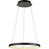 Image de Paul Neuhaus Suspension HOOP LED LBH 57x57x180 cm noir Lampe à suspendre