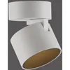 Image de Spot Lisse Monté En Surface Pure Cup Blanche-neige - 6226-16