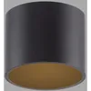 Image de Emplacement Monté En Surface Au Plafond Pure Point Ø 11cm - Nacré Noir - 6761-18